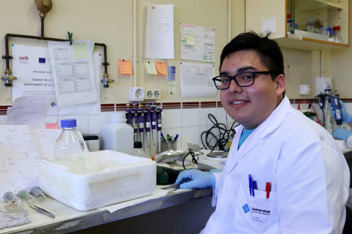 Bioquímica: la vida com a fenomen químic