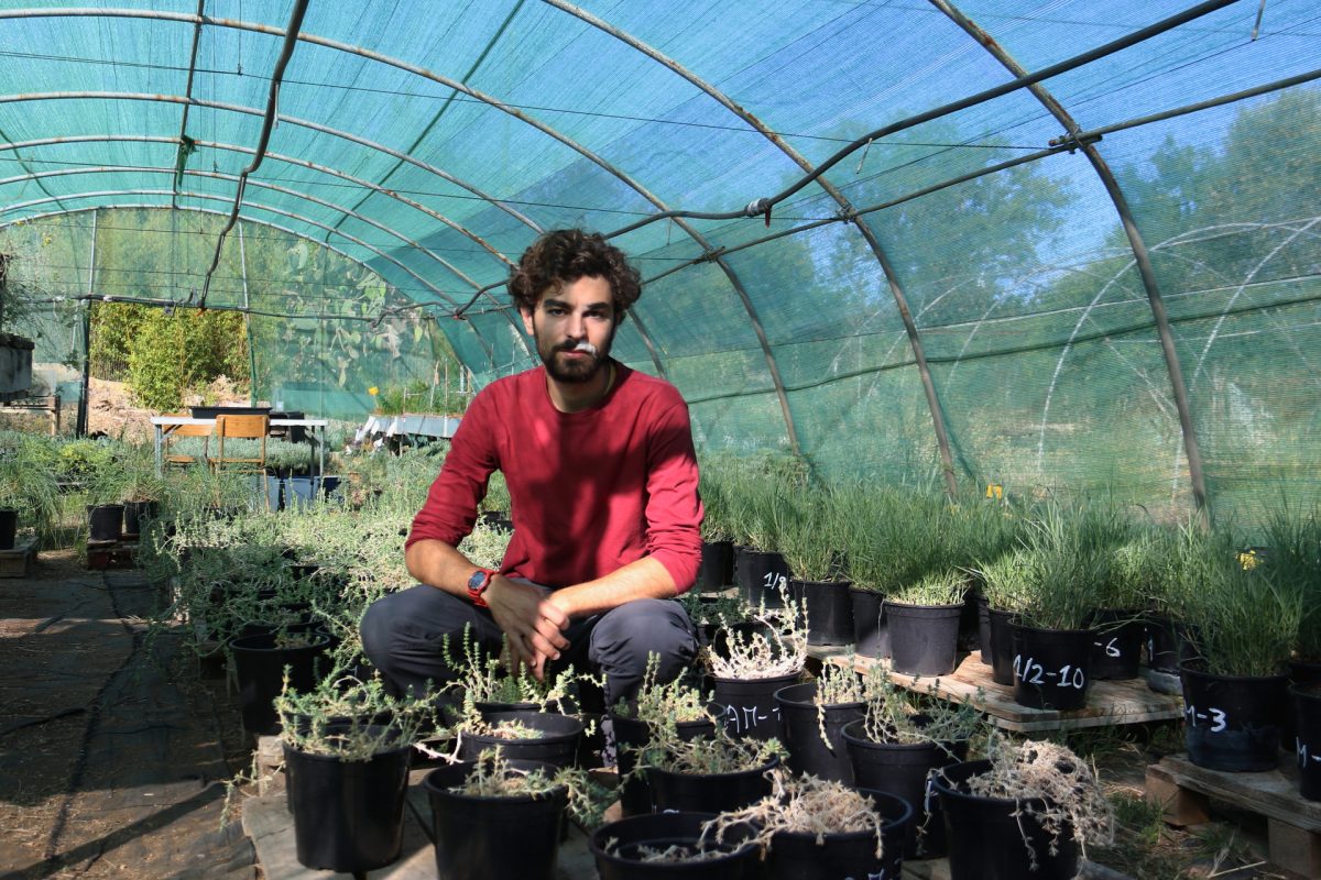 Quina salinitat suporten les plantes?