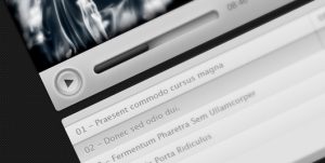 audioVideoPlayer