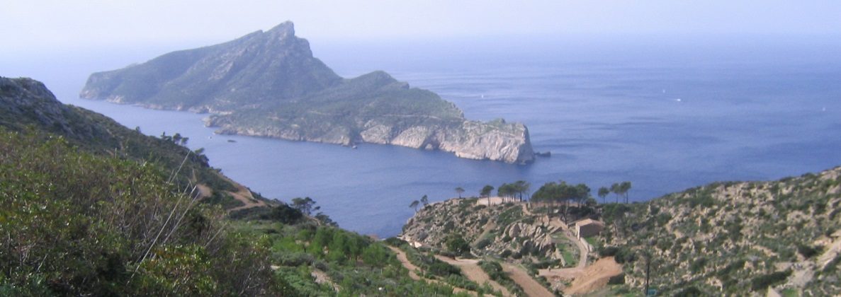 dragonera_latrapa