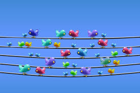 twitter